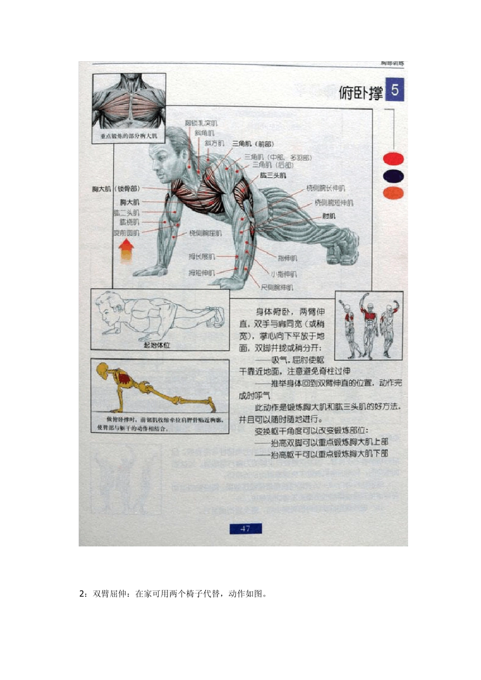 [男士必须收藏]男士健身方法_第2页
