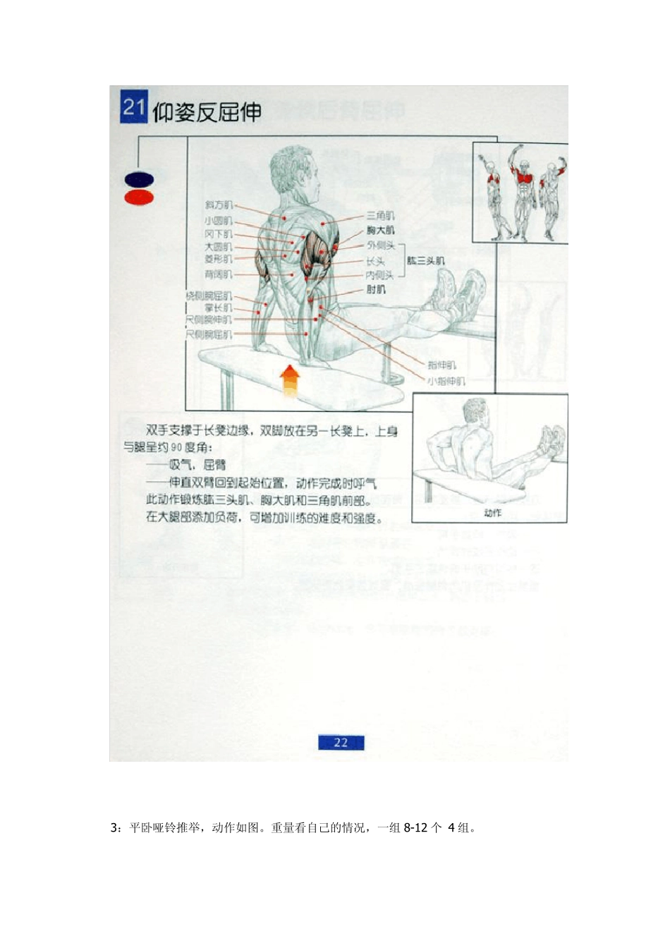 [男士必须收藏]男士健身方法_第3页