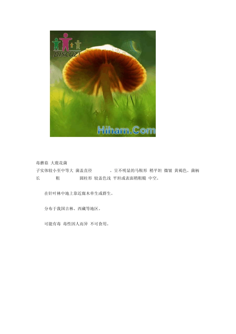 [百科]毒蘑菇大全最全毒性蘑菇(图)_第2页