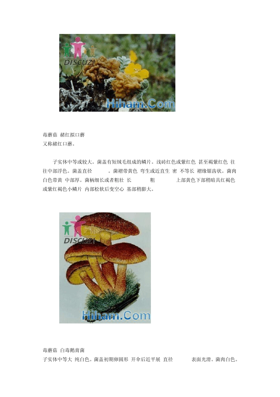 [百科]毒蘑菇大全最全毒性蘑菇(图)_第3页