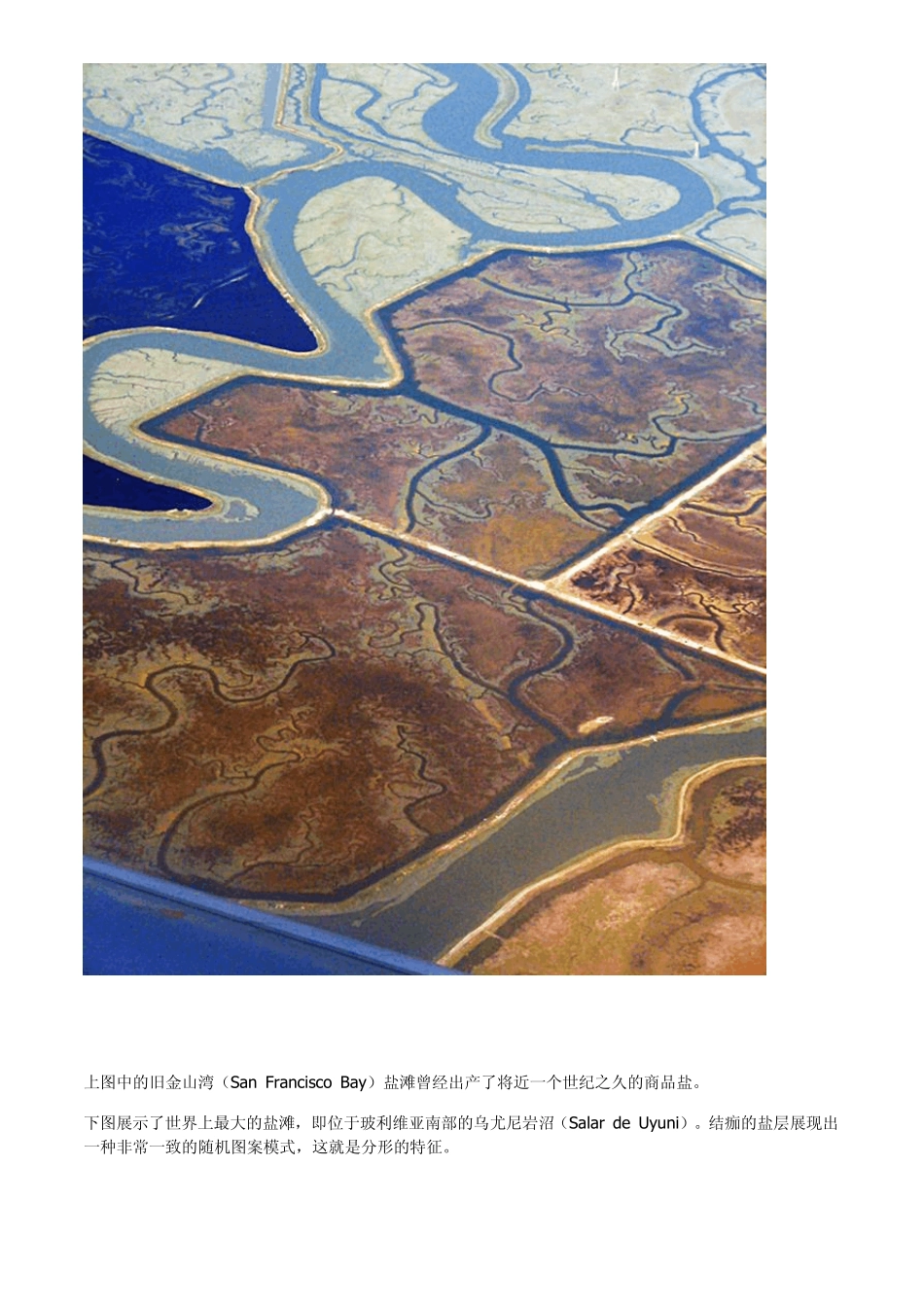 [精彩图集]令人称奇的自然分形图案_第2页