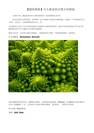 [精彩图集]令人称奇的自然分形图案