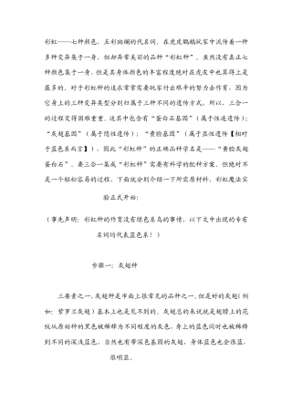 [育种]美丽的彩虹种虎皮鹦鹉的介绍以及详细的育种计划介绍