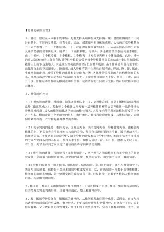 [脊柱的解剖生理]