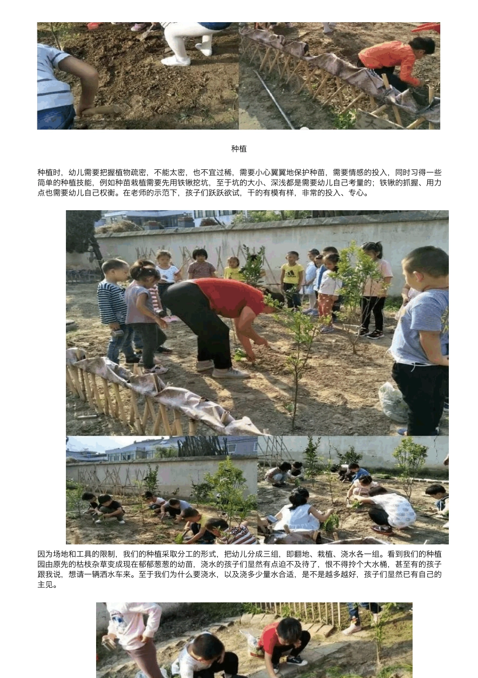 [课程故事]萝卜成长记——大六班班本课程_第3页