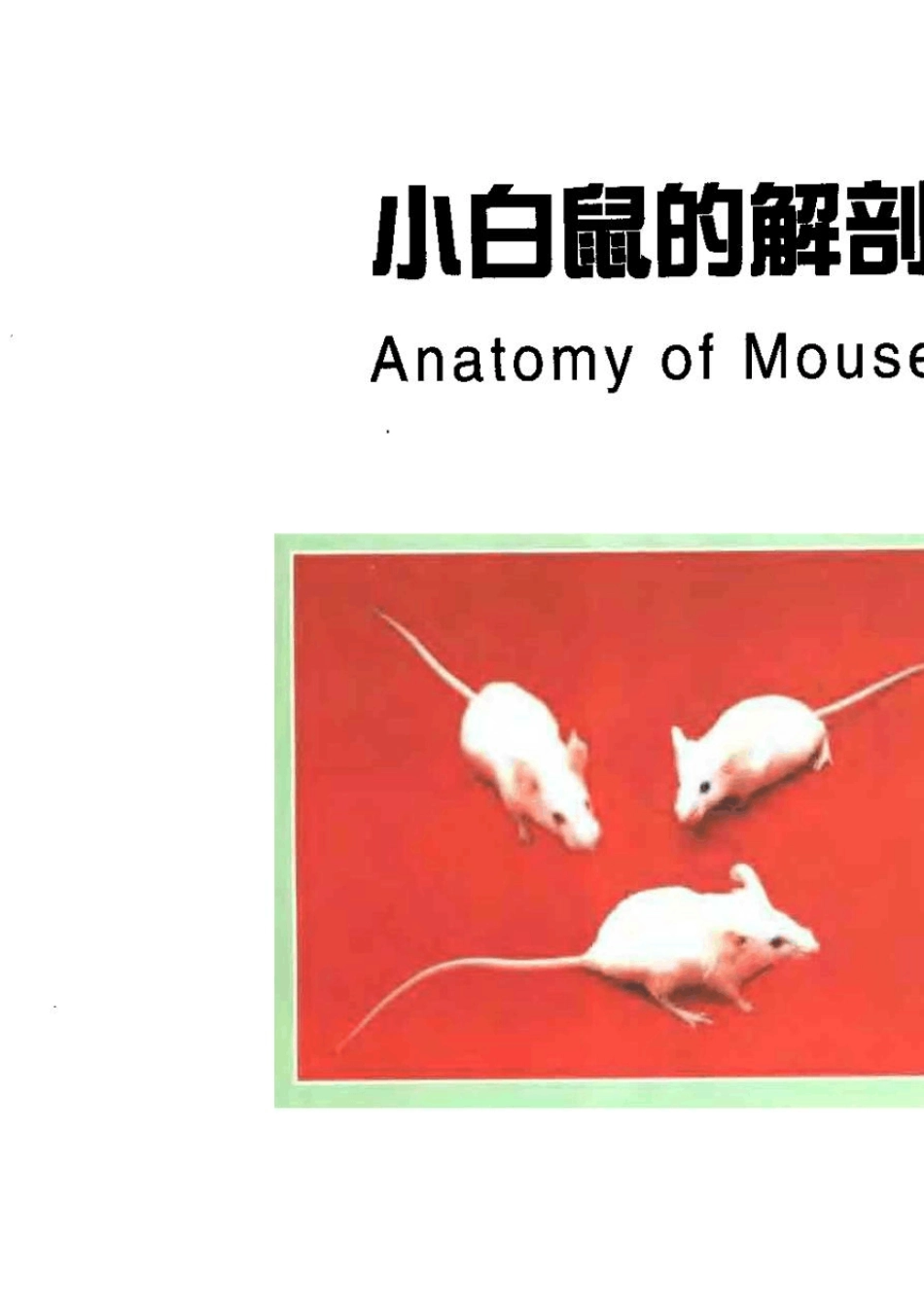 [超清]小鼠的解剖图谱_第1页