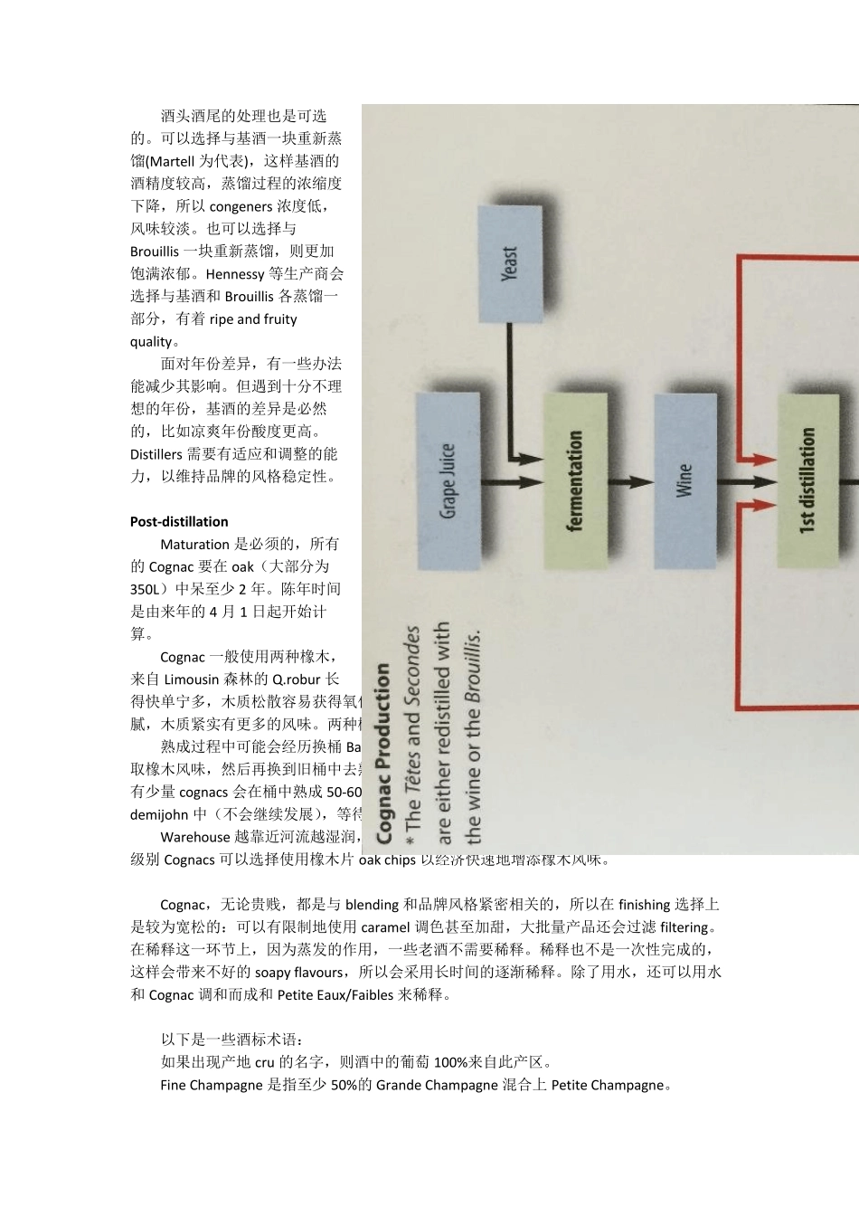[邢威WSETDiploma]Unit4FruitSpirits_第3页