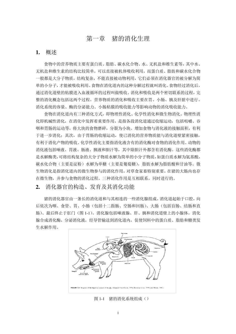 _猪的消化生理_第2页