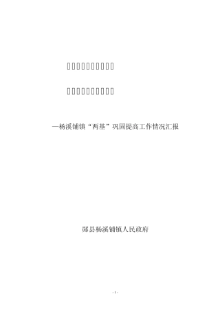 “两基”汇报材料