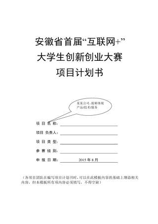 “互联网+”大赛项目计划书模板