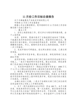 11月份工作目标自查报告