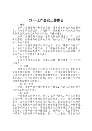 XX年工作会议工作报告
