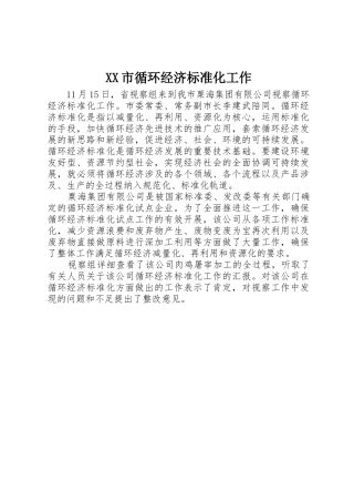 XX市循环经济标准化工作_1