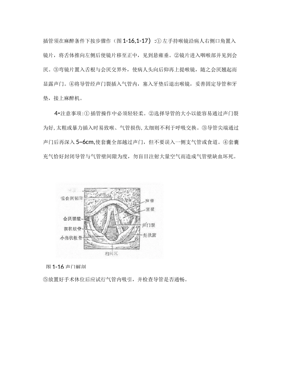 气管和支气管内插管术讲稿全_第2页