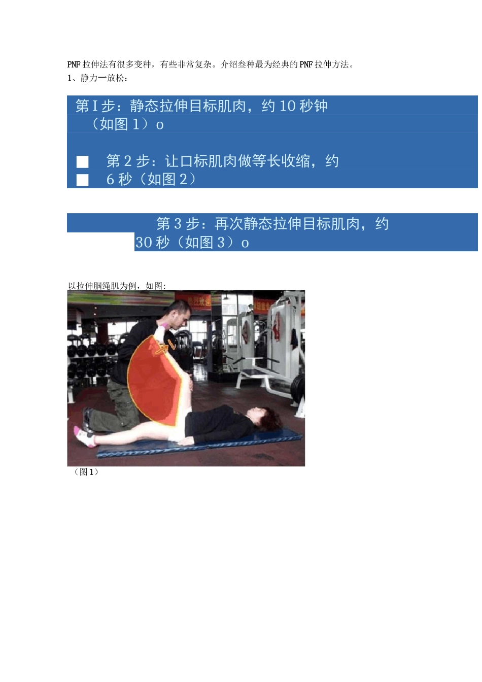 PNF基础原理及三种基本拉伸方法_第3页