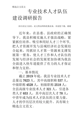 专业技术人才队伍建设调研报告