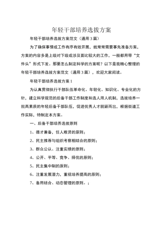 年轻干部培养选拔方案