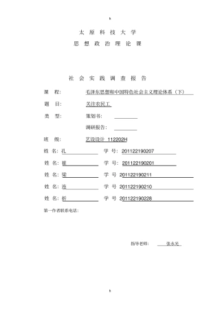 毛概社会实践调查关注农民工报告