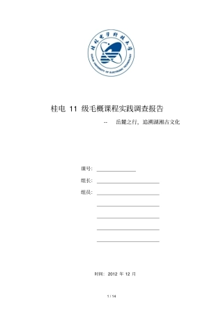 毛概课程课堂实践调查
