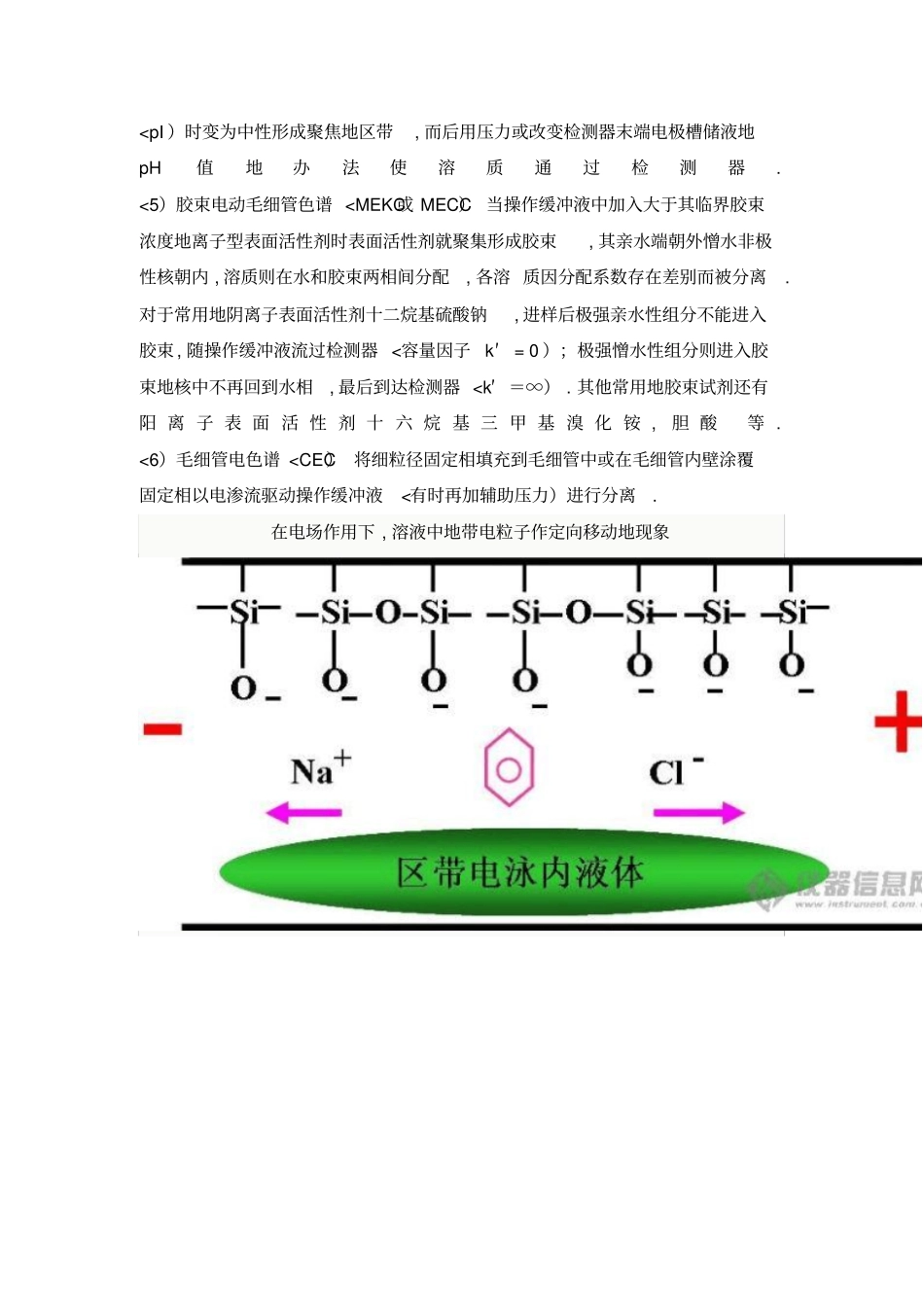 毛细管电泳基本理论设计_第2页