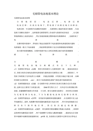 毛细管电泳基本理论设计