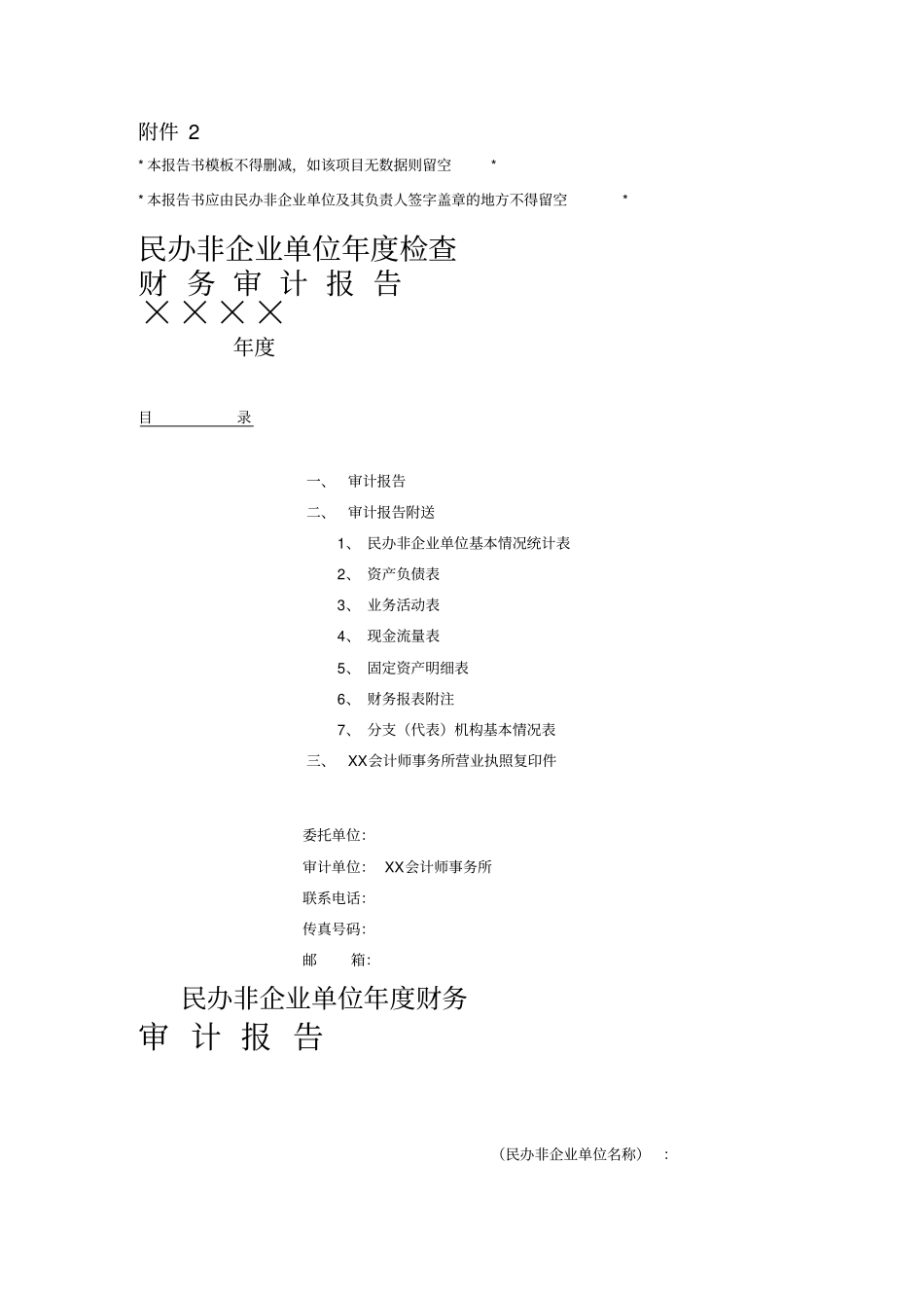 民办非企业单位年审计报告模版_第1页