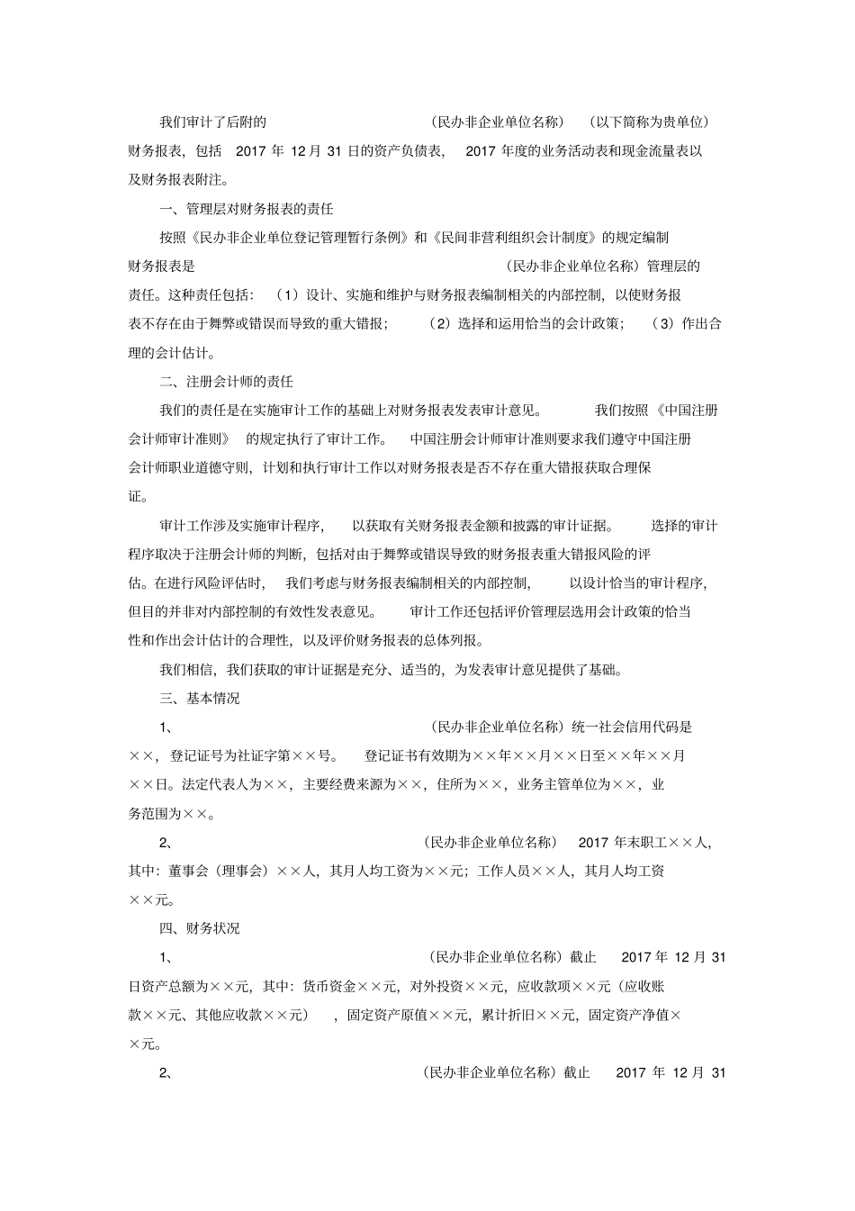 民办非企业单位年审计报告模版_第2页