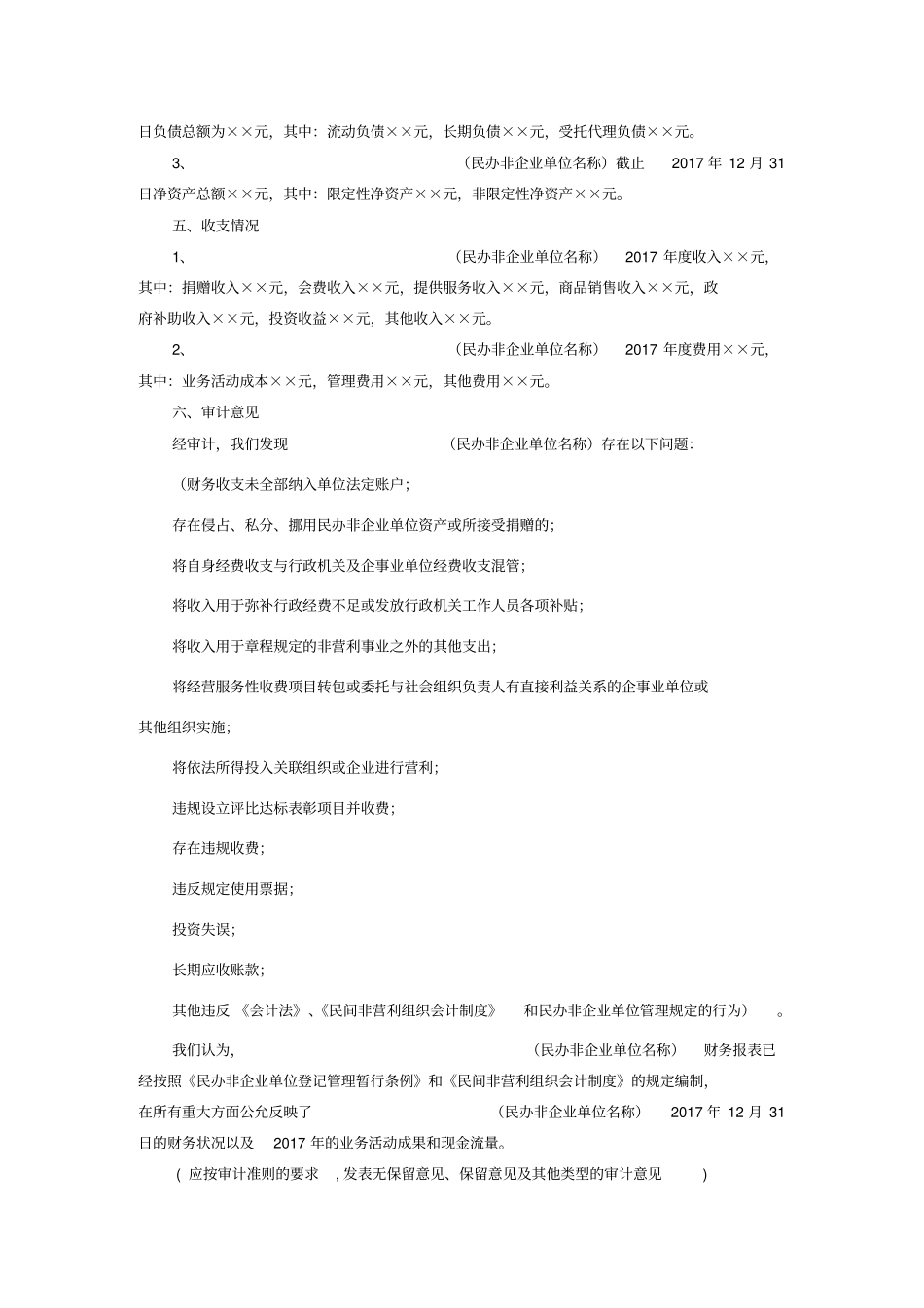 民办非企业单位年审计报告模版_第3页