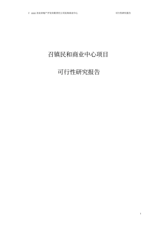 民和商业中心项目可行性研究报告