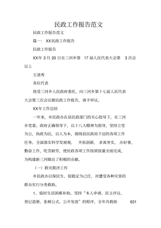 民政工作报告范文
