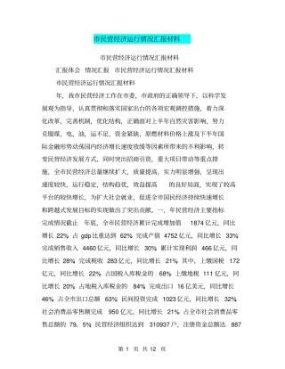 民营经济运行情况汇报材料