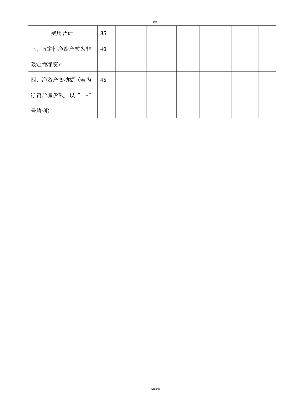 民间非营利性质组织会计报表_第3页