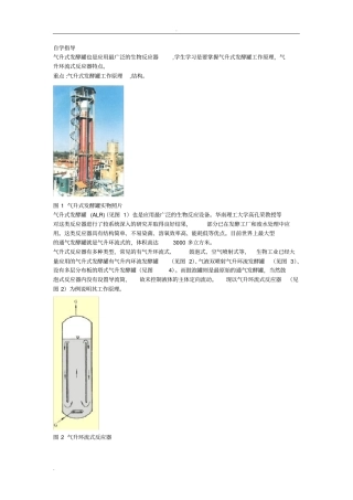 气升环流式反应器