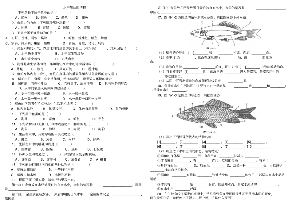水中生活动物_第1页