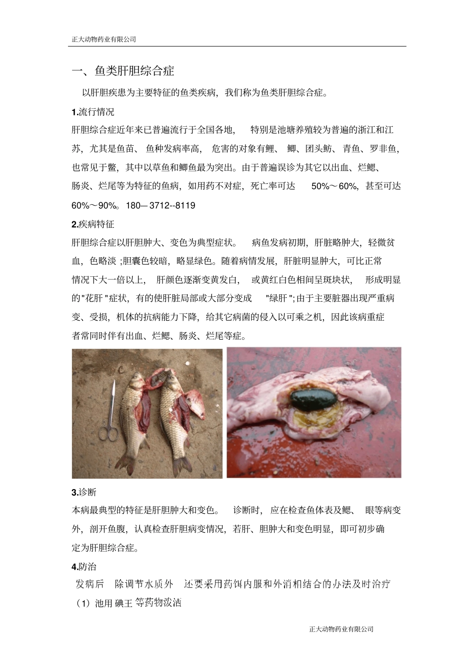 水产养殖中常见鱼病与治疗_第1页