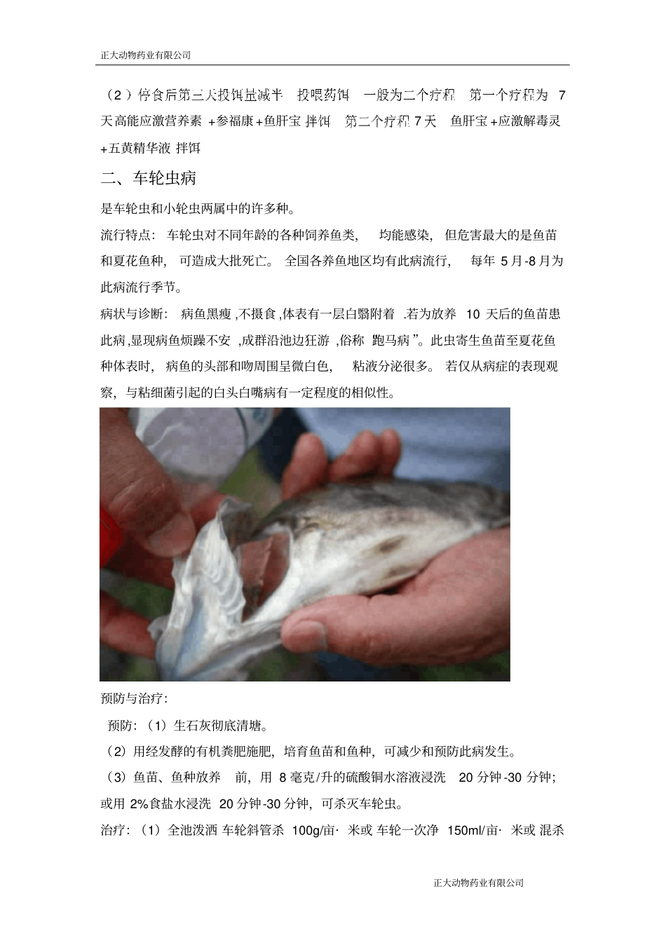 水产养殖中常见鱼病与治疗_第2页