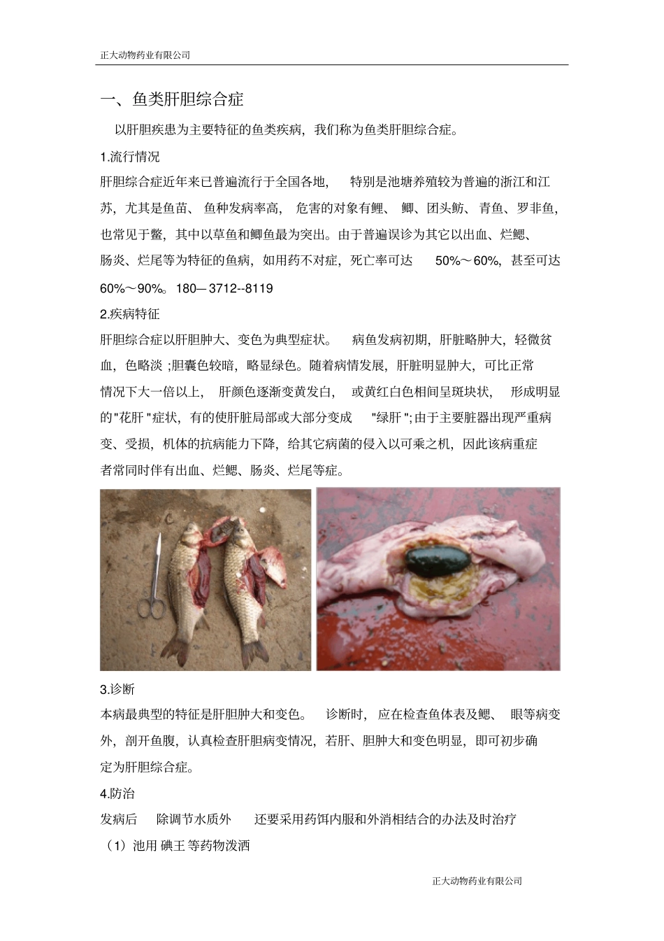 水产养殖中常见鱼病及治疗_第1页