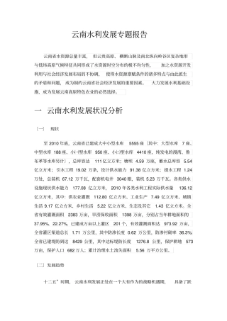 水利专题报告