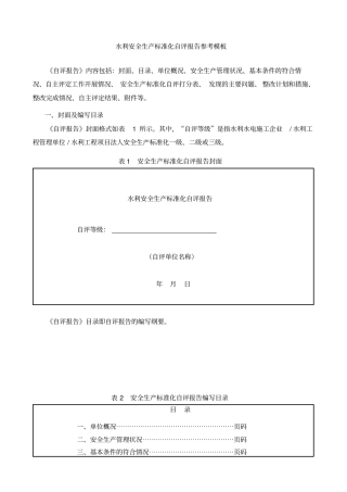 水利安全生产标准化自评报告参考模板