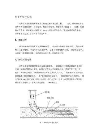 水平井完井调研讲解