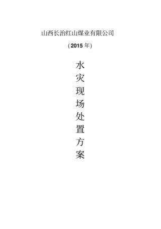 水灾现场处置方案重点讲义资料