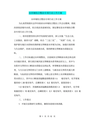 水环境综合整治专项行动工作方案【可编辑版】