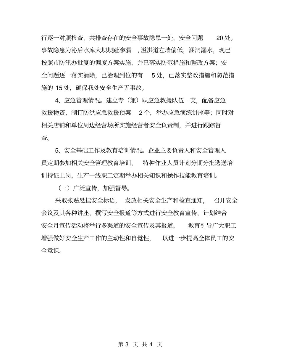 水电站安全检查工作总结_第3页