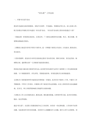 “回头看”工作总结
