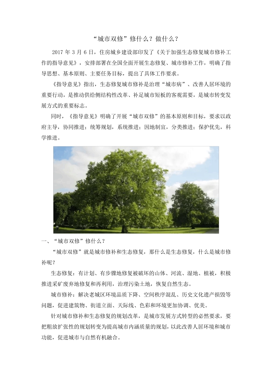 “城市双修”修什么？做什么？_第1页