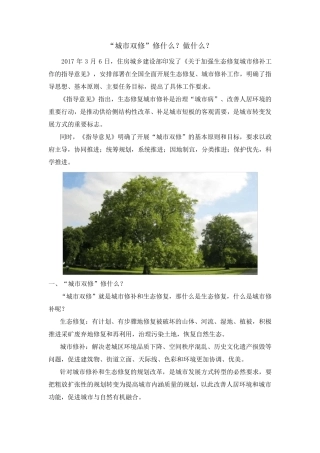 “城市双修”修什么？做什么？