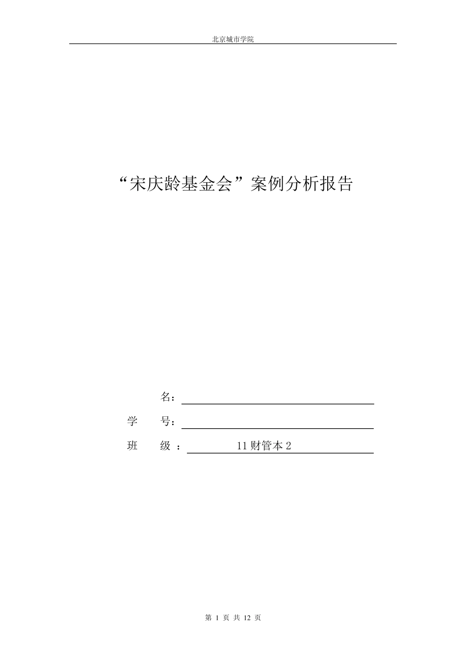 “宋庆龄基金会”案例分析报告_第1页