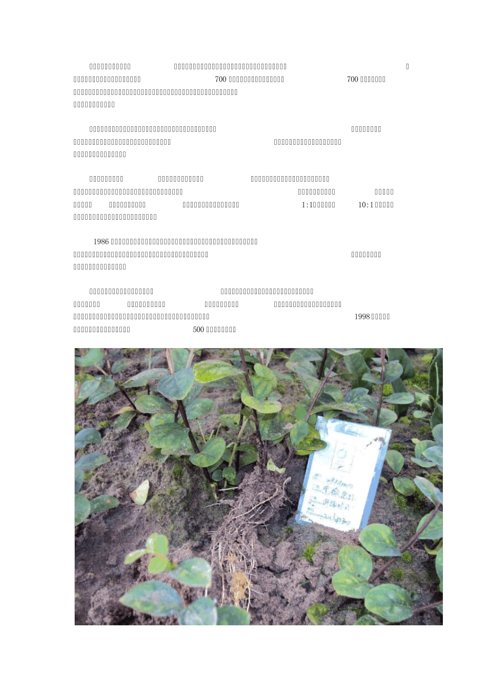 “快繁男”曹辉华发明植物高效快繁技术的30年艰辛的农村创业故事_第3页