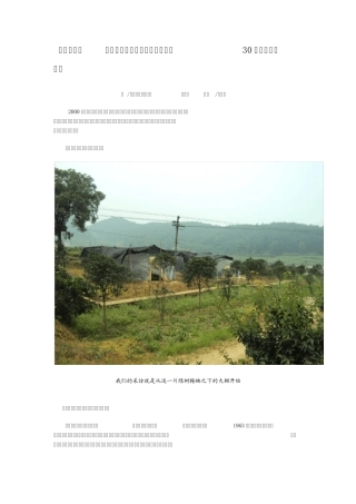 “快繁男”曹辉华发明植物高效快繁技术的30年艰辛的农村创业故事