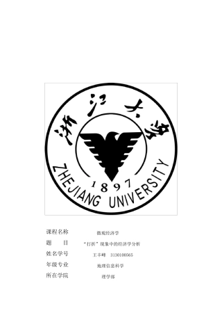 “打折”现象中的经济学分析